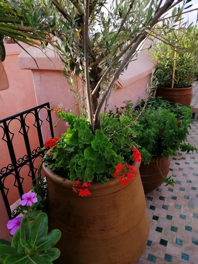 Riad Aventurine Marrakesh Marokko